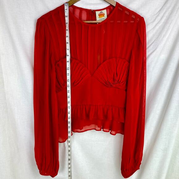 NWT Farm Rio Red Long Sleeve Sheer Stripe Peplum Blouse – Size Small - Picture 11 of 13